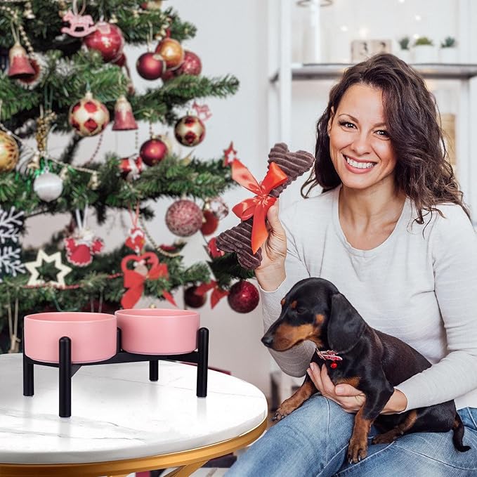 Raised Ceramic Dog Bowl Set - Elevated Double Dishes with Stainless Steel Stand - Food and Water Bowls for Small to Medium Dogs - Each Holds 2 Cups (28.75 fl oz) - Black