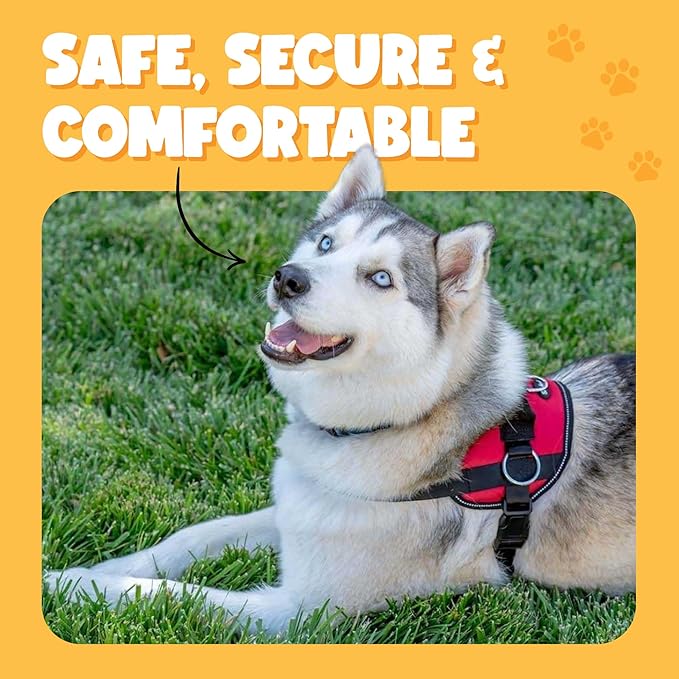 Bark Appeal Blue Hibiscus No-Pull Dog Harness for Extra Small Sized Pets – Adjustable, Reflective Vest with 3 Leash Clips for Added Control, Easy Walks & Training – XS