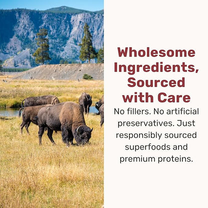 BADLANDS RANCH Superfood Nuggets – Freeze-Dried Raw Dog Treat & Food Topper, Nutrient-Dense Bison & Kale Formula, No Artificial Additives, 8oz Bags (4-Pack Bundle)