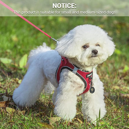 Dog Harness and Leash Set, Dog Harness for Dogs No Pull, No-Chock Step-in Reflective Breathable Lightweight Easy Walk Vest Harnesses with Safety Buckle for Small Medium Dogs, Cats (Red, XXS)