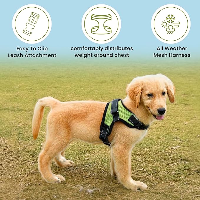 No Pull Reflective Adjustable Dog Harness with Handle- Comfortable Soft All Weather Mesh, Easy On Puppy Harness for Small Medium and Large Dogs (Green) Large