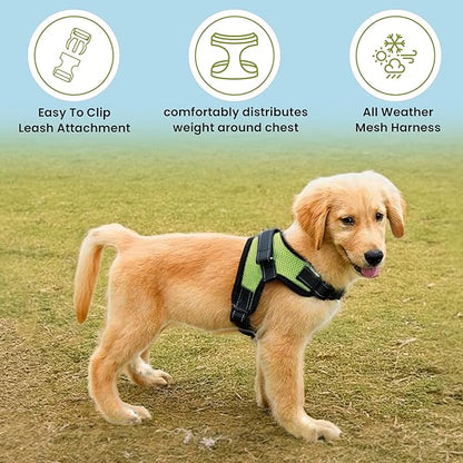 No Pull Reflective Adjustable Dog Harness with Handle- Comfortable Soft All Weather Mesh, Easy On Puppy Harness for Small Medium and Large Dogs (Green) X-Small