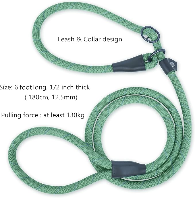 Reflective Slip Leads for Dogs 6FT, Slip Lead Dog Leash, Slip On Training Leash
