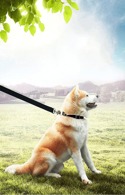 PETGOGO 15ft 20ft 30ft 40ft 50ft Long Dog/Puppy Lead Obedience Recall Training Dog Leashes for Small Medium Dogs Camping, Training, Play, or Backyard (Black, 1" x 50FT)