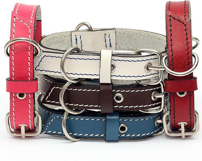 Premium Leather Collars with Stainless Steel Buckles (9"-12", White)