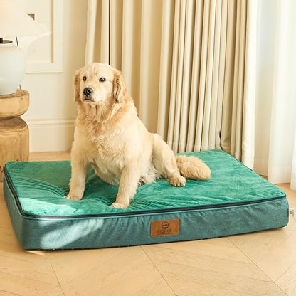LIORCE Orthopedic Memory Foam XXL Dog Bed - 6" Thick Beds for Extra Large Sized Dog - Waterproof Removable Washable Cover & Wrap-Around Zipper - Ultimate Comfort & Easy Maintenance, Green