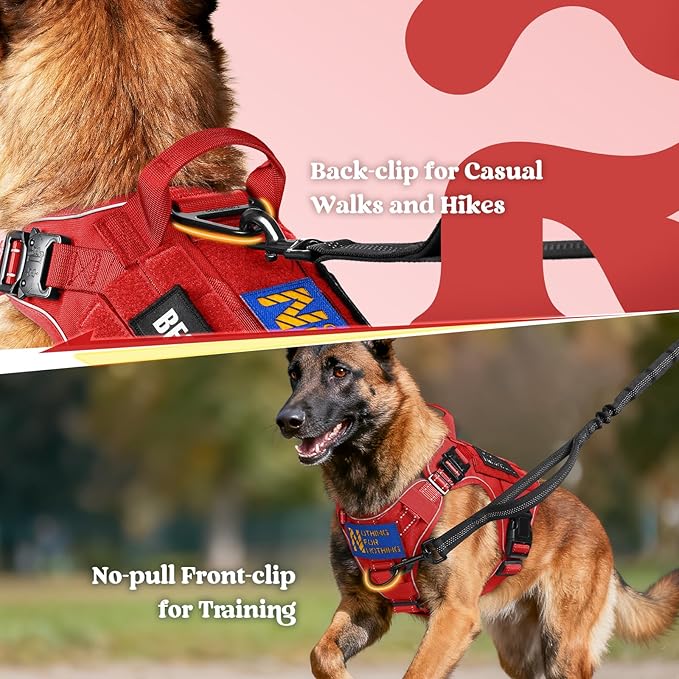 rabbitgoo Tactical Dog Harness Small Sized, No Pull Upgraded Reflective Heavy Duty Molle Vest with Handle, Adjustable Military Service Dog Vest for Walking Hiking Training, Red, S