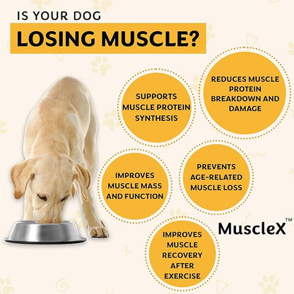 MuscleX™ Canine Muscle Formula Dogs with CaHMB 500 mg and Vitamin D3 - Natural Muscl Building Formula - Helps Reduce Muscle Loss Due to Normal Aging and Improves Recovery from Injury (90 Capsules)