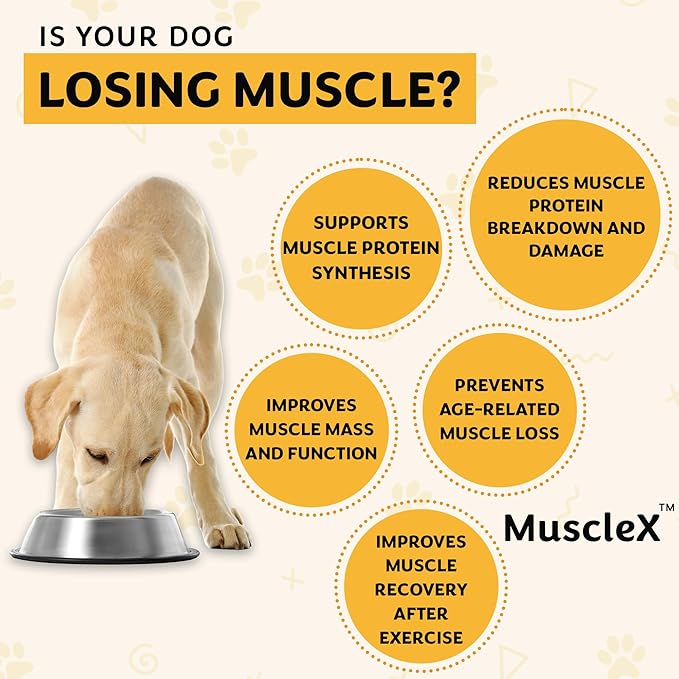 MuscleX™ Feline Canine Muscle Formula Cats & Small Dogs with 300 mg CaHMB & Vitamin D3, Natural Muscl Building formula - Helps Reduce Muscle Loss Due to Normal Aging & Improve Injury Recovery(90 Caps)