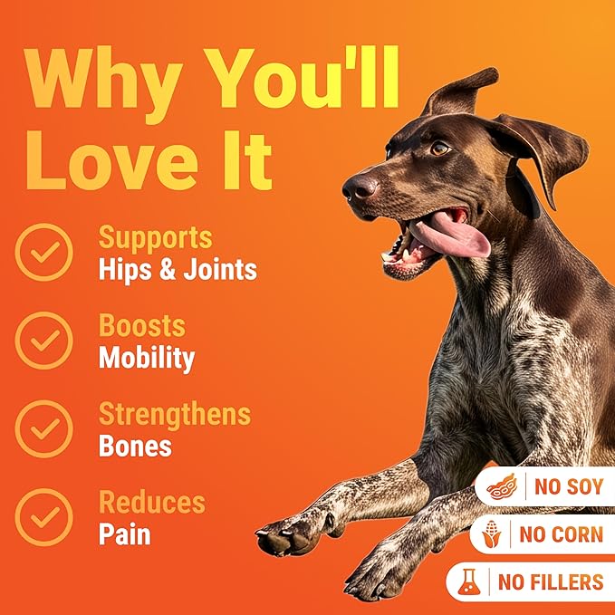 WuffWell Hip and Joint Supplement for Dogs – Natural Ingredients with Chondroitin, MSM, Turmeric, and Glucosamine – Supports Hip Dysplasia, Arthritis, and Mobility – 140 Count, Made in USA