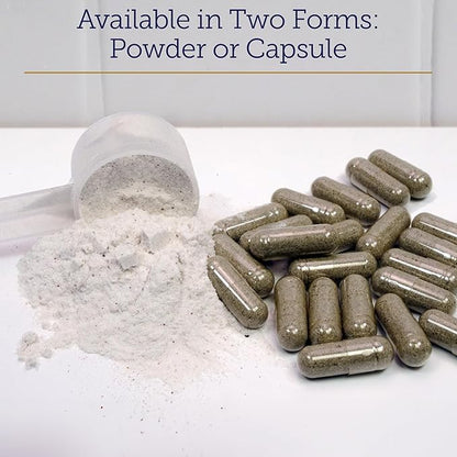Rx Vitamins MegaFlex Cat and Dog Joint Supplement - Glucosamine Sulfate with MSM, Vitamin C, & Sea Cucumber - Supports Joint Flexibility and Mobility - for All Breeds and Sizes - 600 Capsules