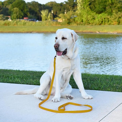 Dogline Biothane Waterproof Dog Leash Strong Coated Nylon Webbing with Black Hardware Odor-Proof Easy to Clean High Performance for Small or Large Dogs Made in USA 4 or 6 ft Lead, Treasure Gold