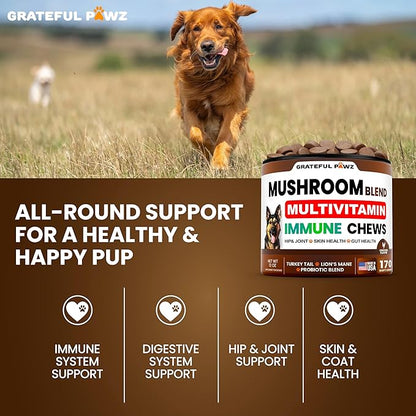 Turkey Tail Mushroom Supplement for Dogs - 170 Chews - Mushrooms for Dogs - Reishi, Lion’s Mane, Glucosamine Multivitamin - Immune Booster, Gut, Hip & Joint Health Support Vitamins, Energy & Skin