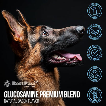 Best Paw Nutrition - Bacon Flavor Liquid Glucosamine for Dogs & Cats - Joint Supplement for Hip & Joint Pain Relief Pets Love - 32oz