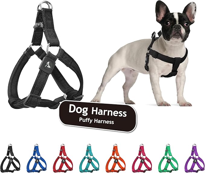 Kruz No Pull Dog Harness (Chest 30”-44”, Weight 66-176 lbs) Heavy-Duty Pet Harness for Large Breeds, Ultra-Comfort Fit, Lifetime Durability, Adjustable Dog Harness No Pull Design (Black, X-Large)