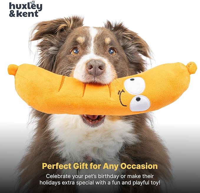Huxley & Kent Funny Dog Toy w/Squeaker – Power Plush Squeaky Dog Toys for Small, Medium & Large Dogs – Soft Stuffed Animal for Indoor Play & Fetch - Fetchies® Sammy Sausage, Small