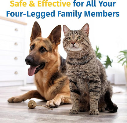 Hip & Joint Supplement for Dogs & Cats with Cetyl Myristoleate, Glucosamine, Collagen, MSM - Max Strength Joint Support for Mobility, Senior Pets, Large Breeds - Trial Pack (Bacon/Cheese)