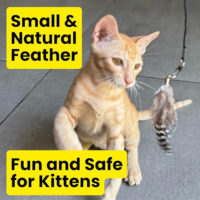 repounce Feather Toys Replacements (9 Pc) - Cat Toys & Kitten Toys for Indoor Kittens, Set of Replacement Feather Attachments Extra Small and Durable, for Cat Wands, Natural and Safe