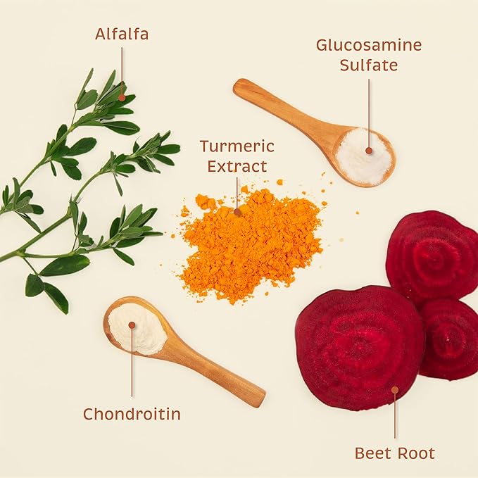Spirited Paw Joint + Mobility - Joint Support & Comfortable Mobility for Dogs - Beet Root, Turmeric Extract & Ginger - Includes Antioxidants and Vitamins C & E - 100 Chewable Wafers