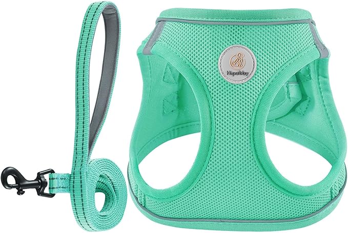 Hipubby Dog Harness and Leash Set, No Pull Soft Mesh Puppy Harness for Small Medium Dogs, Cats - Step in Reflective Breathable Lightweight Vest Harness for Walking, Training - Green, XS