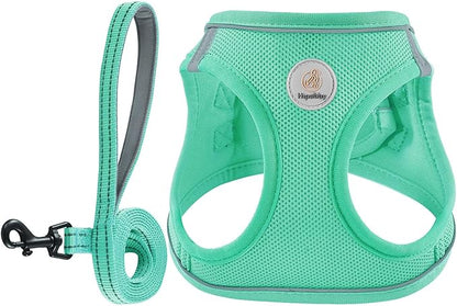 Hipubby Dog Harness and Leash Set, No Pull Soft Mesh Puppy Harness for Small Medium Dogs, Cats - Step in Reflective Breathable Lightweight Vest Harness for Walking, Training - Green, S