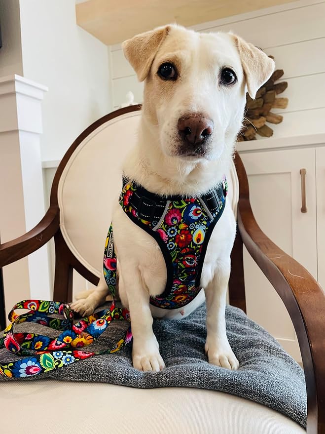 Lucky Love Dog No Pull Dog Harness, Adjustable and Easy to Walk, Cute Patterned Harness for Small Medium Large Male & Female Dogs - Blackbird, Small
