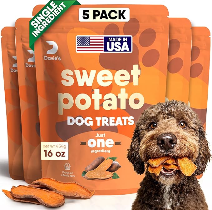 Davie's Sweet Potato Dog Treats - Healthy Dog Chews, Low Fat, Made in USA, 1 lb Bag - Pack of 5