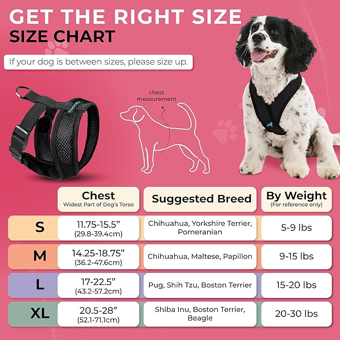 Gooby Black X-Large Polyester Comfort X Harness for Small Dogs, No Pull, Choke-Free, Lightweight Mesh, Machine Washable