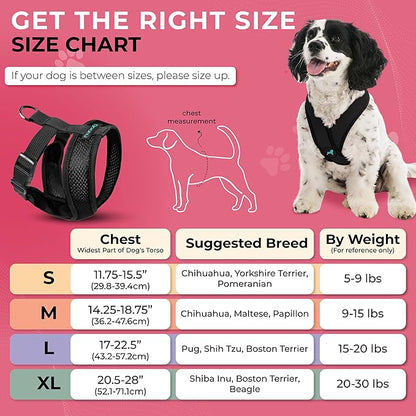 Gooby Comfort X Head in Harness - Black, Small - No Pull Dog Harness, Patented Choke-Free X Frame - Perfect on The Go Dog Harness for Medium Dogs No Pull or Small Dogs for Indoor and Outdoor Use