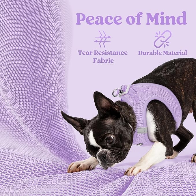 rabbitgoo Small Dog Harness, Step-in Soft Mesh Puppy Vest with Safety Buckle, Breathable Reflective Pet Harness for Extra Small Dogs, Light Purple XXXS