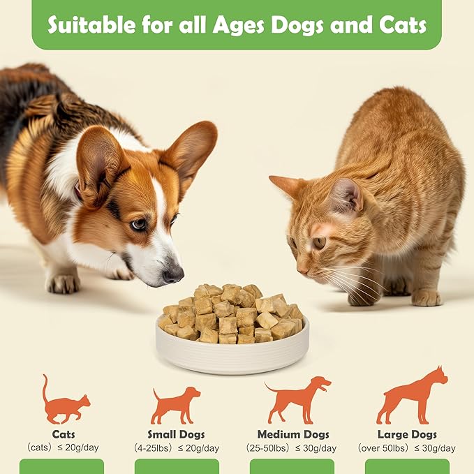MON2SUN Freeze Dried Salmon Cat and Dog Treats, Single Ingredient Natural and Healthy Dog Snacks, High Protein Training Treats & Food Topper, 10.6oz
