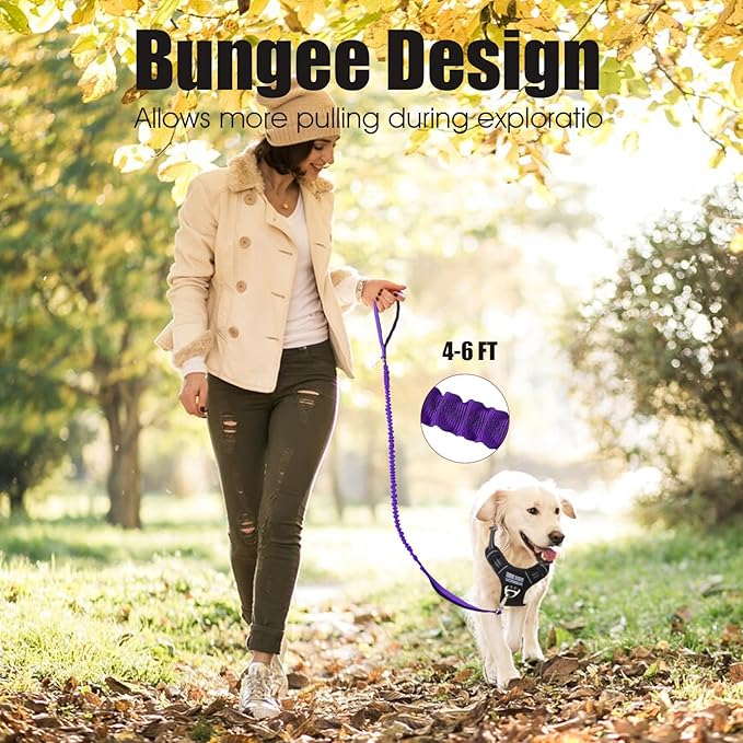 BUMBIN 6Ft Dog Leash - Large Dogs, Bungee Leash with 2 Handles, Heavy Duty, No Pull Shock Absorbing, Purple