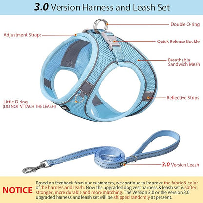 AIITLE No Pull Dog Harness and Leash Set, Step in Adjustable Dog Harness with Padded Vest for All Weather, Dog Leash with Soft Padded Handle, Easy to Put on Small and Medium Dogs Pure Blue S