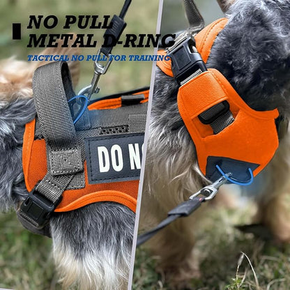 Tactical Dog and Cat Harness for XS and Small Puppy, Air Pet Vest No Pull with Reflective Do Not Pet Patches, Breathable Dog Molle Vests for Training Walking Hunting Orange