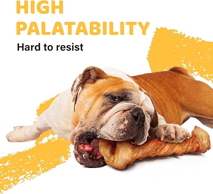 iPaw 10 Pcs Value Pack Turkey Tendon for Dogs, Ingredient Sourced from USA, Hypoallergenic, All Natural Human Grade Puppy Chew, Dog Treats for Signature Series, Rawhide Alternative, Bone (Small)