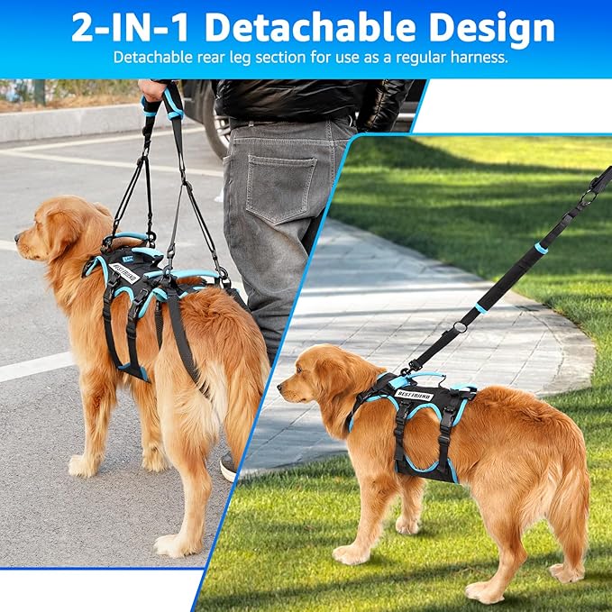 Dog Lift Harness for Large Male Dogs, 2-in-1 Detachable Support Harness, Full Body Carrying with 4 Handles, Dog Sling for Large Dogs Hind Leg Support(Black, X-Large)