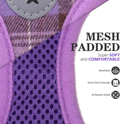 EXPAWLORER Classic Plaid Puppy Harness - Small Dog Harness and Leash Set - Dog Collar and Leash Set with AirTag Holder, Soft Padded Step in Dog Vest Harness No Pull Reflective for Outdoor, Purple XXS