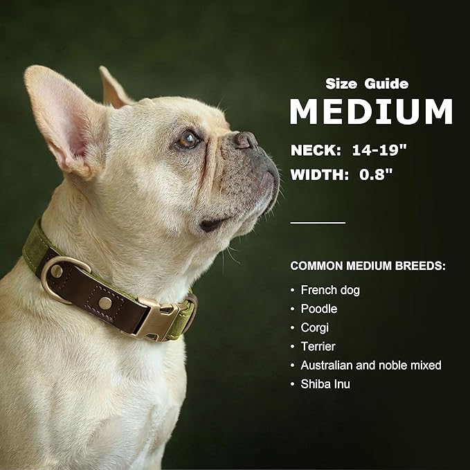 Didog Soft PU Leather Dog Collars for Medium Dogs,Classic Adjustable Dog Collars with Quick Release Metal Buckle,Easy Clean and Comfortable with Nylon Lining,Olive Green,M Neck 14-19"