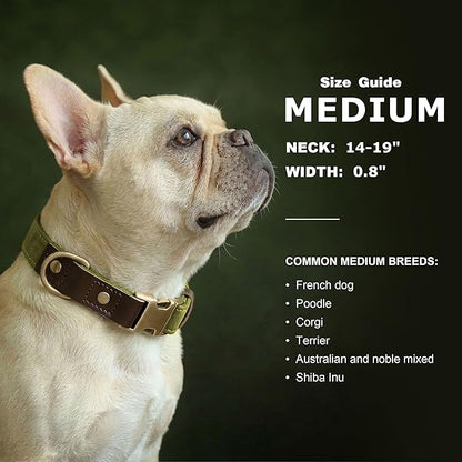 Didog Soft PU Leather Dog Collars for Medium Dogs,Classic Adjustable Dog Collars with Quick Release Metal Buckle,Easy Clean and Comfortable with Nylon Lining,Olive Green,M Neck 14-19"