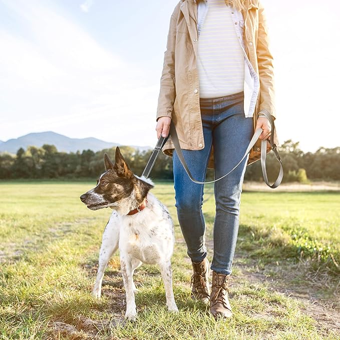 TwoEar 5FT 1IN Strong Gray Dog Leash with 2 Padded Handles, Traffic Handle Extra Control, Comfortable Soft Dual Handle, Auto Lock Hook, Reflective Walking Lead for Small Medium and Large Dogs