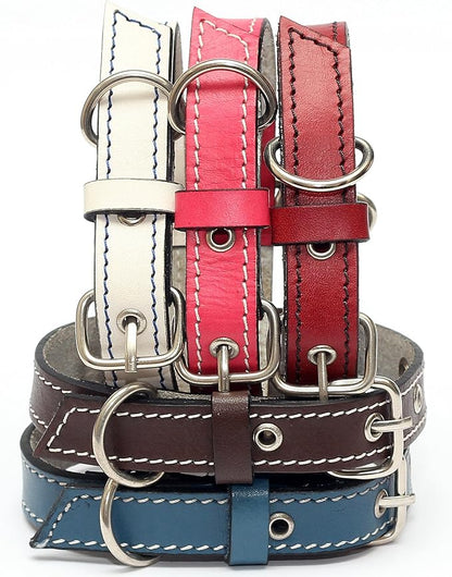 Premium Leather Collars with Stainless Steel Buckles (9"-12", White)