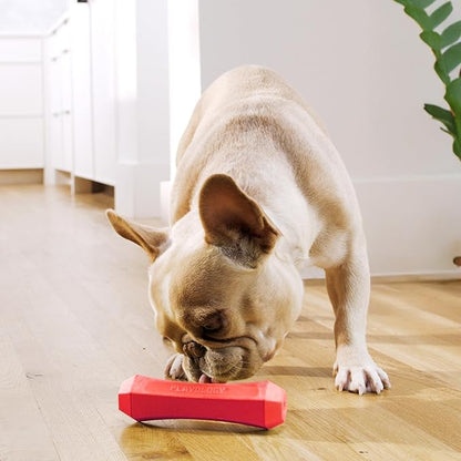 Playology Dog Toys | Durable Squeaky Chew Stick for Dogs| Medium Beef Scented Toy - Easy to Clean and Made from Non Toxic Materials