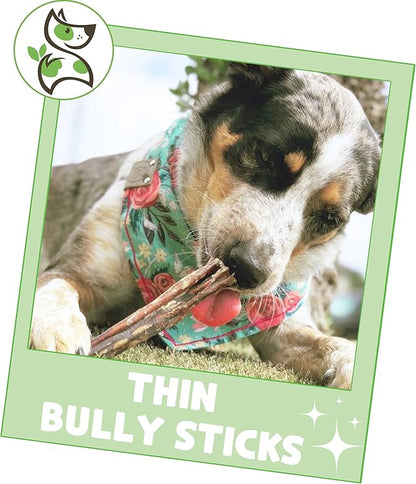 Nature Gnaws Thin Bully Sticks for Dogs 5-6" (8oz) - Mixed Thickness - Long Lasting for Small Dogs and Puppies - Natural Thin Beef Dog Chew Bones - Rawhide Free