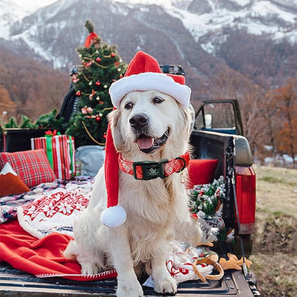 Elegant little tail Christmas Dog Collar, Pet Dog Collar Cotton Soft Red Plaid Winter Pet Collars Holiday with Quick Release Buckle Puppy Collar for X-Small Puppy