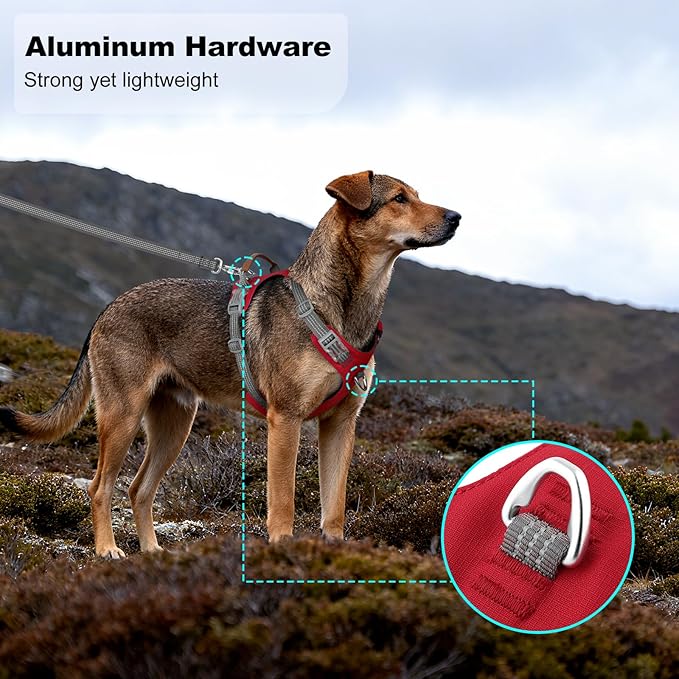 ApakBak No Pull Dog Harness – Adjustable Reflective Nylon Vest for Small Medium Large Dogs, Escape Proof Training Harness with Leather Control Handle, Lightweight Aluminum Hardware (Red, XL)