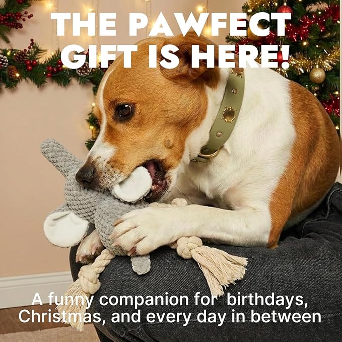 FURETTICO Squeaky Dog Teething Interactive Chew Toy Chewer Stuffed Toys with Squeaker for Small Medium Breed Tough Durable Funny Pet Supplies Ideal Puppy Cats Gifts - Elephant, Medium