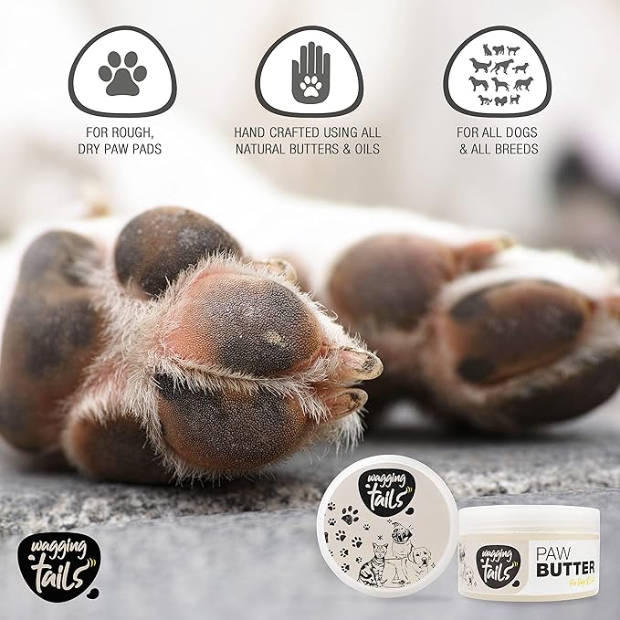 Wagging Tails 6-in-1 Paw Butter 1.76 fl oz for Dogs & Cats | Made with Natural Ingredients Turmeric Extracts, Shea Butter, Bees Wax, | Heals Cracked Paws, Elbows & Dry Itchy Snout