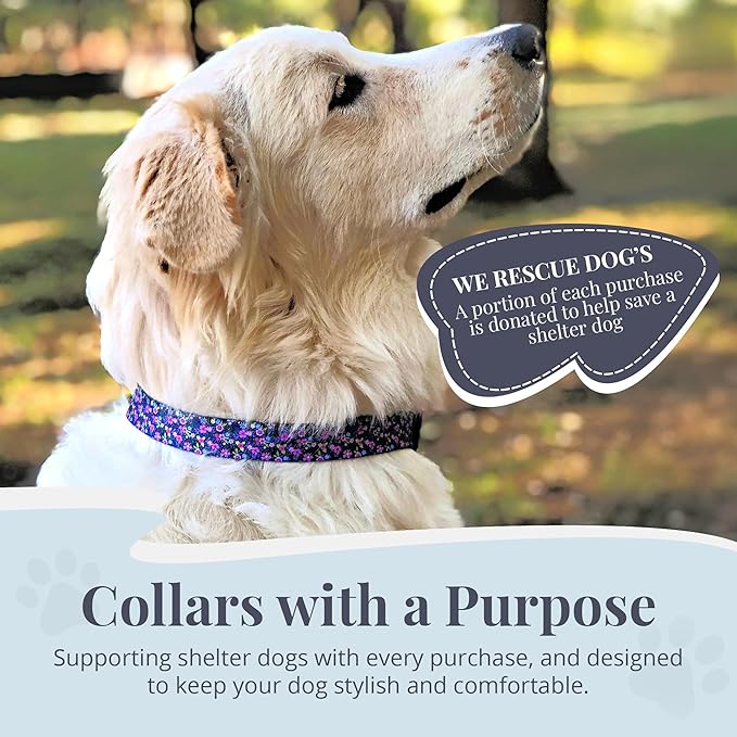Lucky Love Dog, Comfortable, Soft, Cute Female Dog Collar for Small Dogs, Black & Purple Floral Print, Adjustable Nylon Collar, Primrose, Small