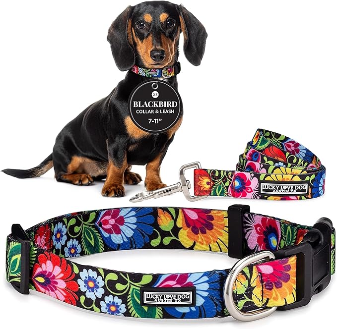 Lucky Love Dog - Easy Click Buckle Dog Collar with Leash Set Combo, Durable & Comfortable for Male & Female Dogs, Pet Collar for Small Dogs, Secure Fit - Blackbird Combo, X-Small