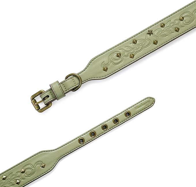 Blueberry Pet Premium Embossed Sage Green Glam Silver-Powered Freshness Microfiber Leather Dog Collar with Antique Brass Studs